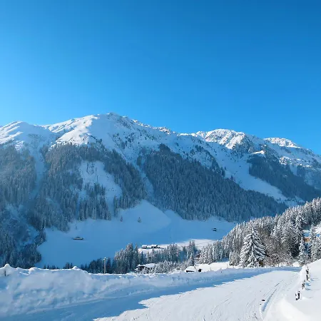 Landhaus Steiner 572s Ramsau im Zillertal